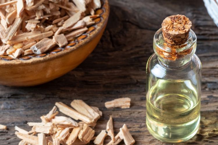 Ilustrasi minyak kayu cedar