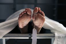 Fenomena Aneh: Hiu Paus Muda Makin Sering Terdampar di Indonesia, Naik Lima Kali Lipat Sejak 2020