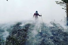 20 Hektare Lahan di Nunukan Terbakar, BPBD Duga Disengaja untuk Buka Perkebunan Sawit