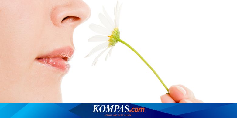 Anosmia Gejala Paling Umum Covid-19, Bagaimana Terjadinya?