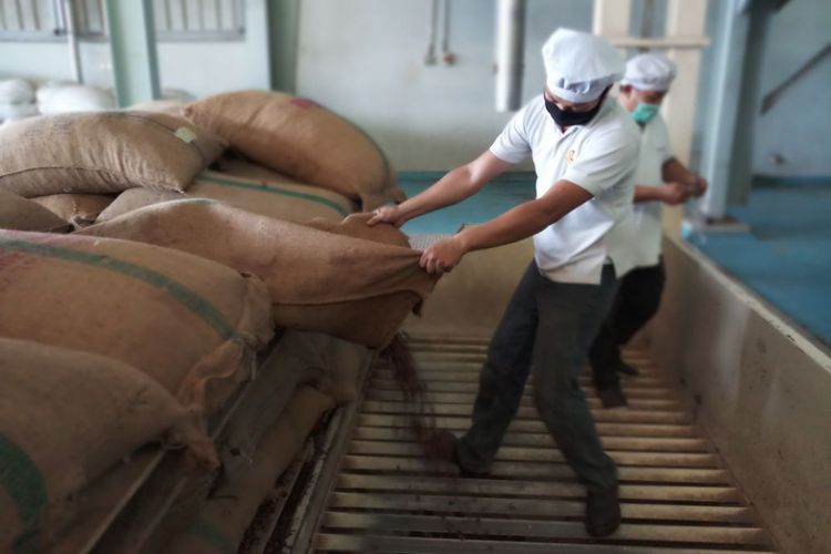 PT KKI mengekpor cocoa butter Kendari ke Belanda dengan volume total 300 ton yang dikirim dalam tiga fase