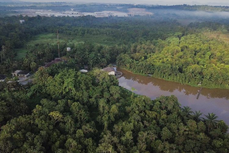 Hutan Lindung Sungai Wain, Kalimantan Timur.