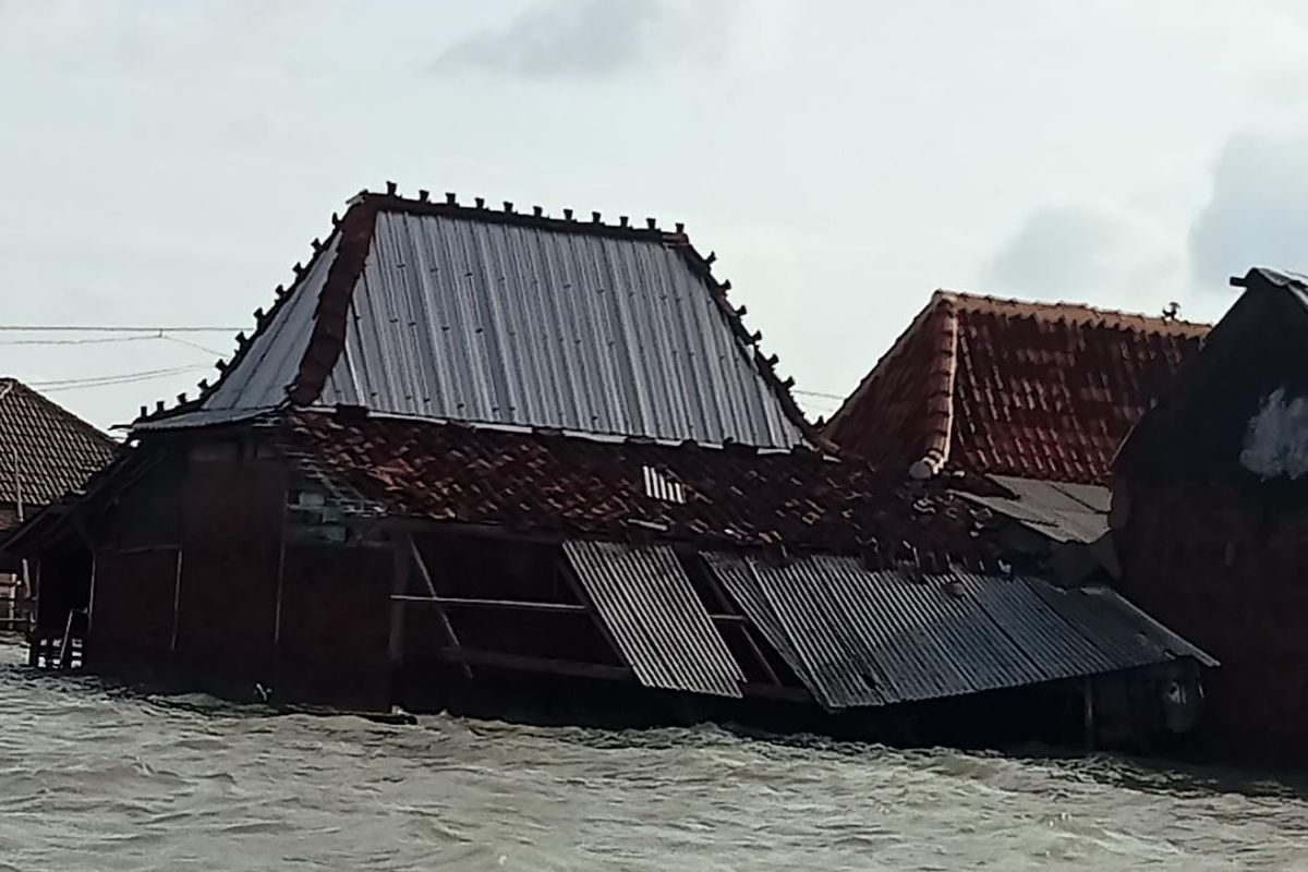 Dampak Banjir Rob, 50 Rumah di Desa Timbulsloko Demak Rusak