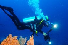 Wisata Diving di Tambrauw Papua Barat, Lihat Benda Sisa PD II
