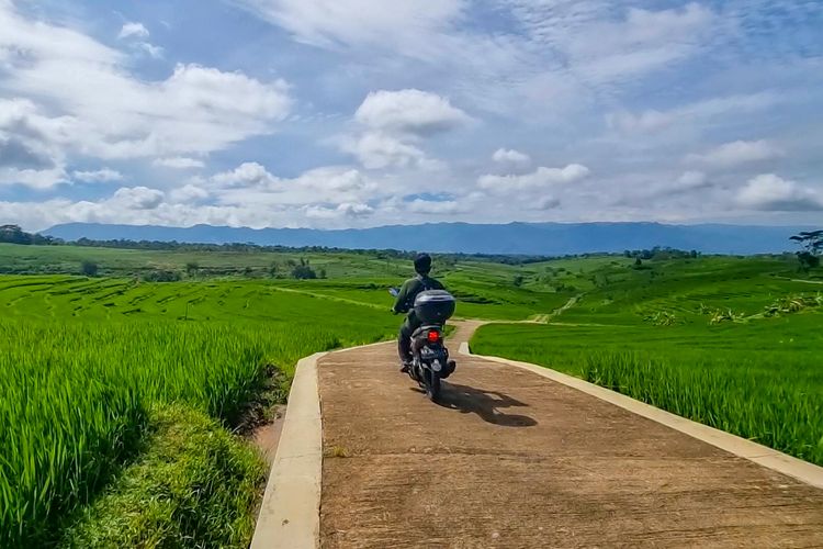 Hamparan Sawah yang Indah di Slogoretno, Jatipurno, Wonogiri, Jawa Tengah.