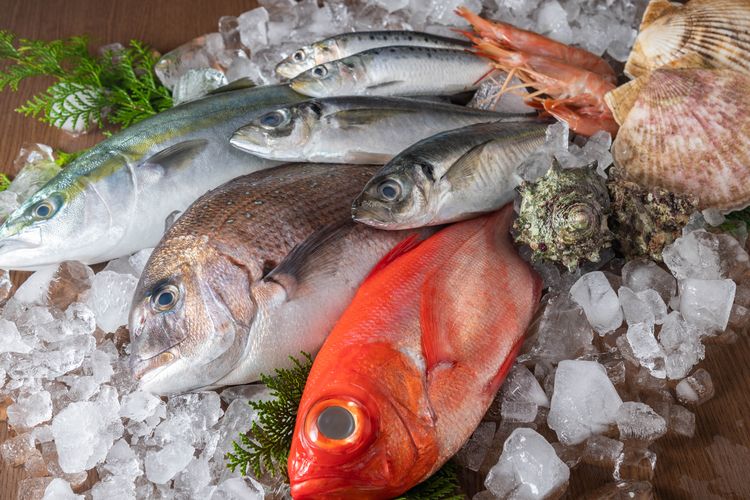 Ada banyak cara memilih ikan segar di pasar. Salah satunya dengan melihat mata ikan. 
