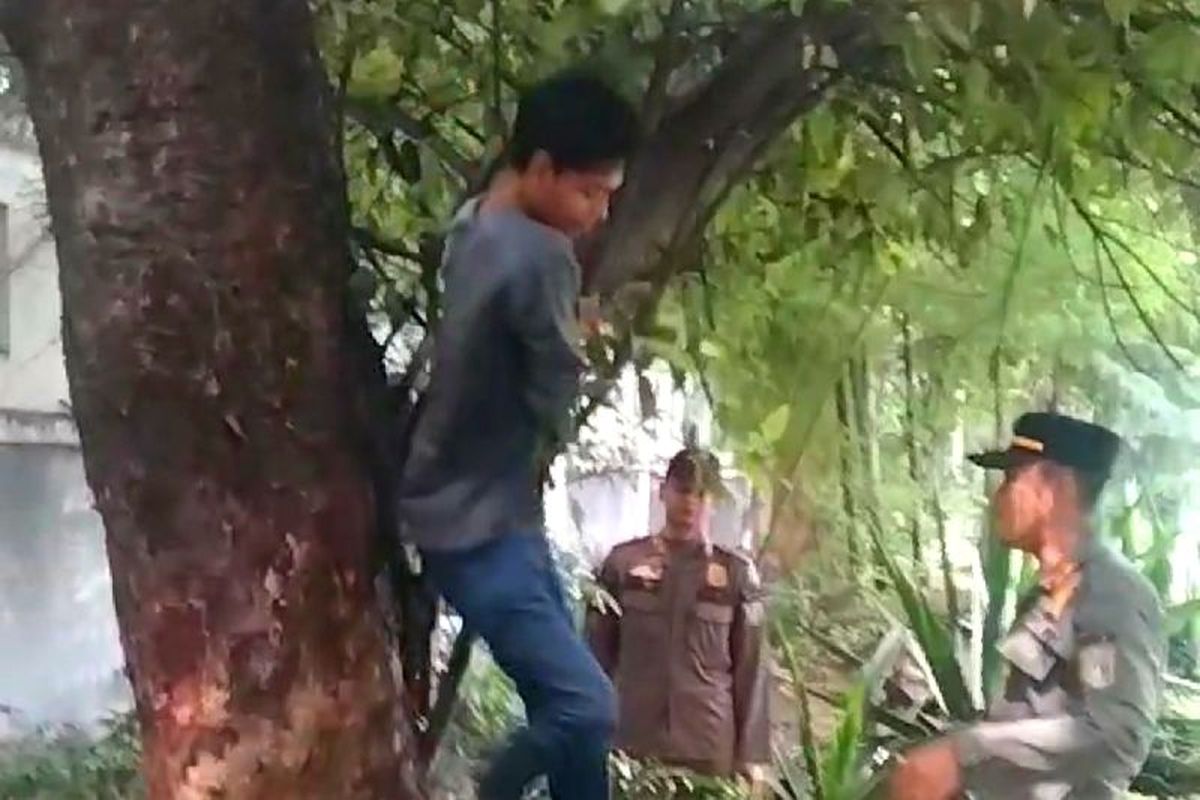 Satuan Polisi Pamong Praja (Satpol PP) menangkap seorang pria pemulung yang sembunyi dengan naik pohon saat dijaring di kawasan Kebayoran Lama, Jakarta Selatan, Kamis (4/5/2023). 