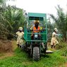Perempuan di Balik Aktivitas Lapangan Perkebunan Sawit Solok Selatan