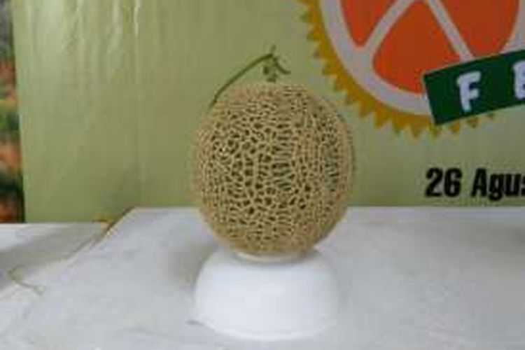Melon yang menjadi juara di kontes melon Fruit and Veggie Festival.