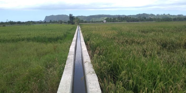 Kementerian Pertanian telah memperbaiki saluran irigasi di Kelompok Tani Jaya di Kelurahan Koya Barat, Distrik Muara Tami, Kota Jayapura, Provinsi Papua.