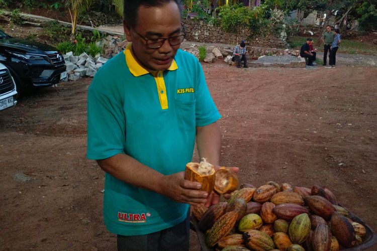 Biji Kakao Omah Kakao Doga milik Ahmad