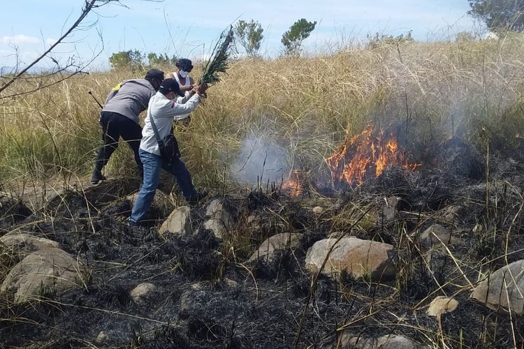 Foto : Kebakaran yang melanda hutan lindung Egon Ilinmedo, Selasa (14/7/2020).
