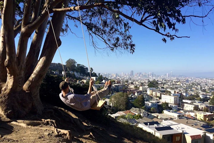 The swing on top of Billy Goat Hill. 