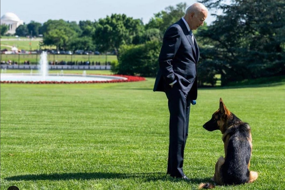 Anjing Presiden Biden Sering Gigit Staf Gedung Putih, Mungkin Ini Penyebabnya