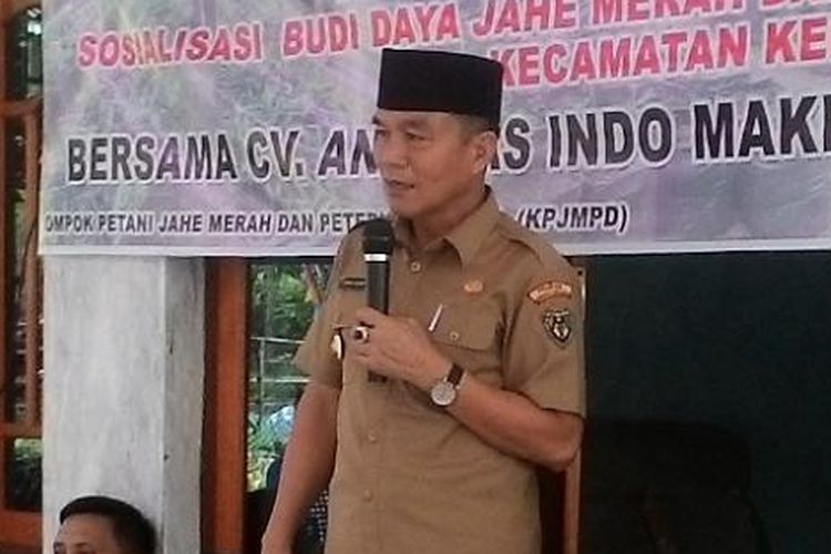 Bupati Bengkulu Selatan, Dirwan Mahmud