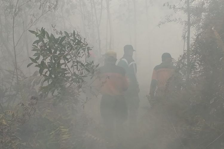 Tim Satgas Karhutla Kabupaten Bengkalis melakukan pemadaman api kebakaran lahan gambut di Kelurahan Terkul, Kecamatan Rupat, Kabupaten Bengkalis, Riau, Minggu (24/2/2019).