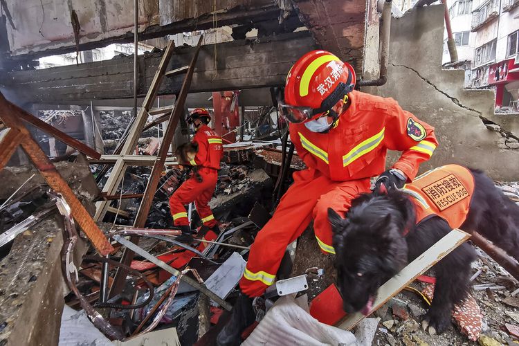 Dalam foto yang dirilis oleh Kantor Berita Xinhua, petugas penyelamat menggunakan anjing pelacak untuk mencari korban selamat setelah ledakan gas di kota Shiyan di Provinsi Hubei, China tengah pada Minggu, 13 Juni 2021. 