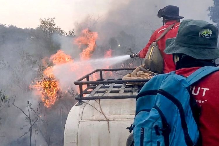 Baru Dipadamkan, Karhutla Kembali Muncul di TN Way Kambas, Habitat Pakan Gajah Ikut Terancam