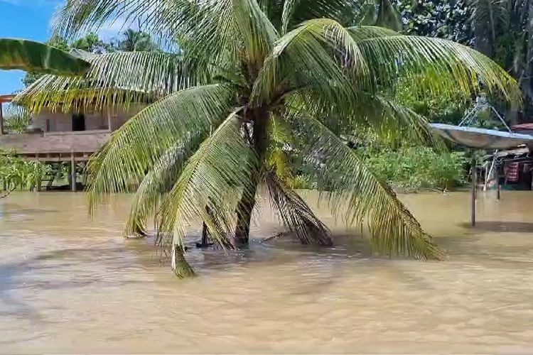 Hujan deras di wilayah hulu Kabupaten Luwu Utara, Sulawesi Selatan, membuat Sungai Rongkong di Desa Lembang-lembang, Kecamatan Baebunta Selatan meluap. Kondisi ini juga diperparah dengan jebolnya salah satu tanggul penahan air. Banjir terjadi sejak Kamis (28/3/2024) malam lalu dan hingga Minggu (31/3/2024) belum juga surut.