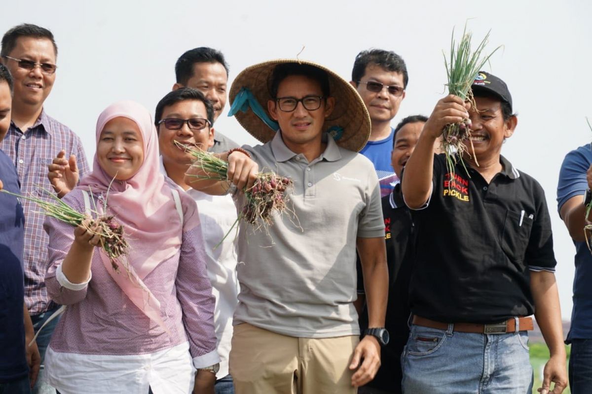 Wakil Gubernur DKI Jakarta Sandiaga Uno pergi ke Brebes untuk memastikan pasokan bawang merah di Jakarta aman, Sabtu (19/5/2018). 
