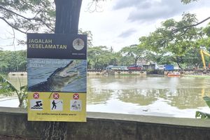Kemunculan Buaya di Kali PIK yang Kerap Bikin Warga Ketakutan