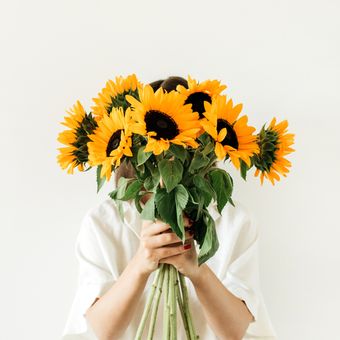 Ilustrasi bunga matahari, buket bunga matahari.