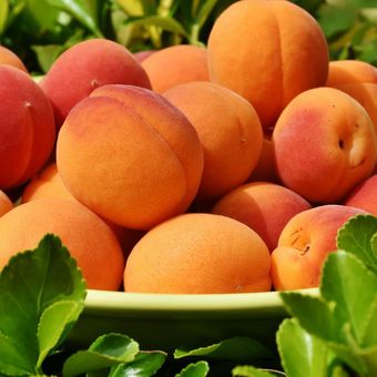 Ilustrasi buah persik. Buah persik dianggap membawa keberuntungan menurut Feng Shui. 
