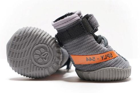 Sneaker Keren untuk Anjing, Terinspirasi Desain Adidas Yeezy