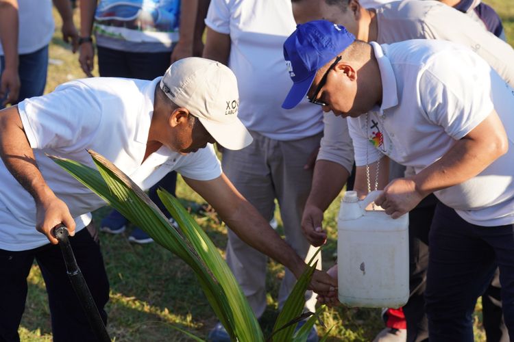 Festival Golo Koe Labuan Bajo Maria Assumpta Nusantara 2026 resmi dibuka, Kamis (4/6/2026), dengan kegiatan tanam kelapa di Labuan Bajo, NTT.