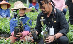 Melalui Klaim Asuransi, Kementan Berharap Pertanian Aceh Dapat Kembali Bergerak