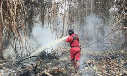 Menhut Sebut Angka Karhutla Turun karena Pencegahan Dini hingga Sanksi Pidana