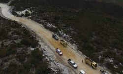 Kementan Segera Kembangkan Komoditas Kopi di Jalur Trans Papua