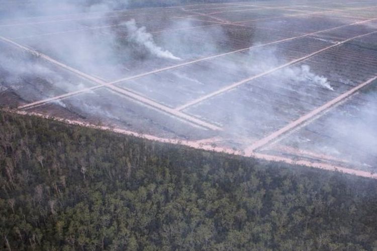 Praktik pembakaran untuk pembukaan adalah ilegal di Indonesia, menurut UU Perkebunan dan UU Perlindungan dan Pengelolaan Lingkungan Hidup (PPLH).