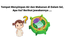 Tempat Menyimpan Air dan Makanan di Dalam Sel, Apa Itu? Berikut Jawabannya ....