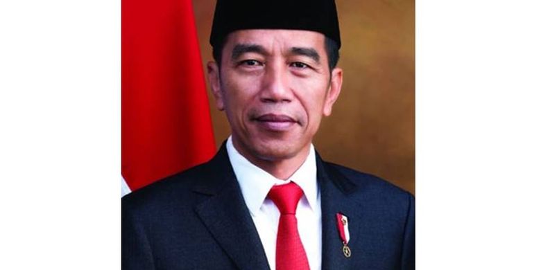 Infografik Profil Joko Widodo Presiden Ri 2019 2024 Halaman All Kompas Com