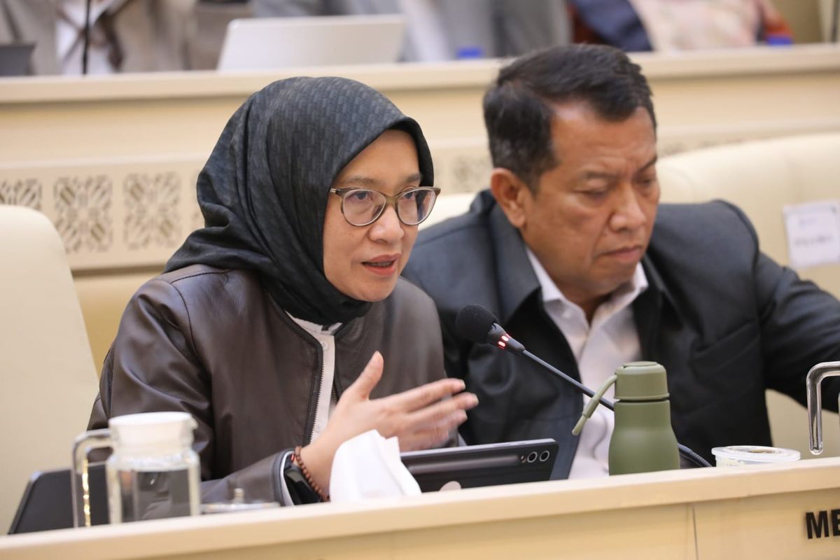 Menteri PANRB Rini Widyantini&nbsp;dalam rapat kerja bersama Komisi II DPR RI di Jakarta, Senin (19/1/2025).