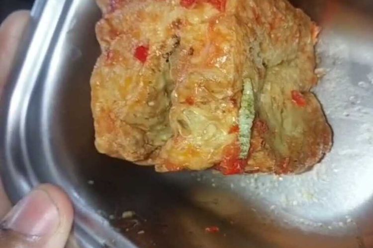 DAIRI 01112025 K160-19 Makanan MBG di Sidikalang Terdapat Ulat, Ini Kata BGN dan Satgas Dairi