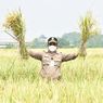 Punya Sistem Irigasi, Petani di Tabanan Tidak Takut Gagal Panen Akibat Kemarau