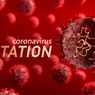 Kronologi Penemuan Varian Virus Corona E484K di Jakarta 