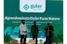 Wapres Maruf Amin Apresiasi Kemajuan Sektor Pertanian Indonesia