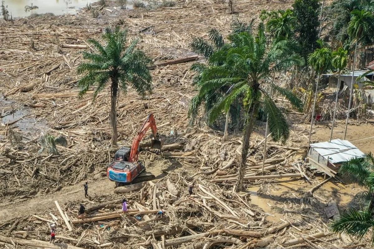 Petugas mengoperasikan eskavator untuk membersihkan jalan akses antardesa dari batang-batang kayu gelondongan pascabanjir bandang di Desa Tanjung Karang, Karang Baru, Kabupaten Aceh Tamiang, Aceh, Minggu (7/12/2025). Bareskrim ungkap illegal logging di hulu Sungai Tamiang rusak hutan lindung yang diduga sebabkan banjir. Ketahui apa hutan lindung dan fungsinya.