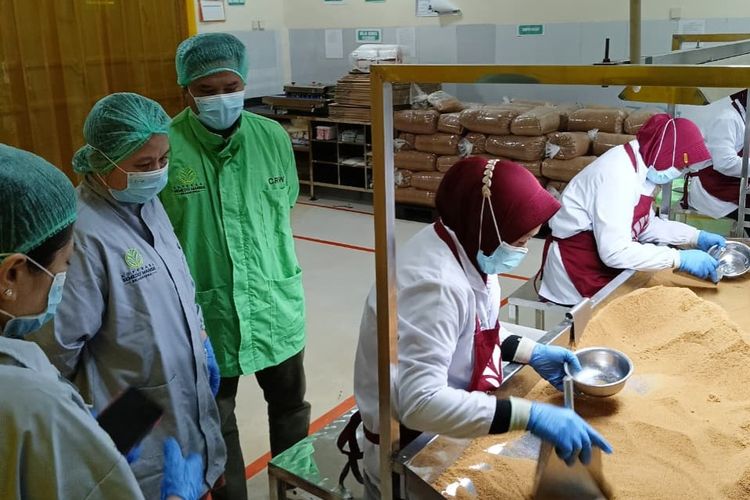 Para pekerja di Koperasi Semedo Manise sedang mengemas produk gula semut yang telah menembus pasar internasional.
