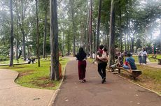 Piknik Santai di Tebet Eco Park, Warga: Cari yang Murah-murah Aja...