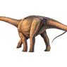 Mungkinkah Evolusi Bisa Hidupkan Kembali Dinosaurus?