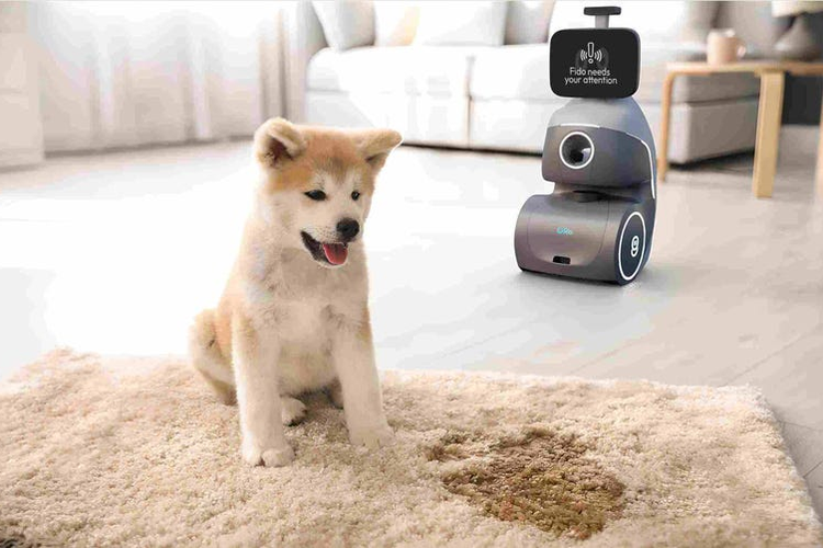 Ilustrasi Oro Dog Companion Robot.