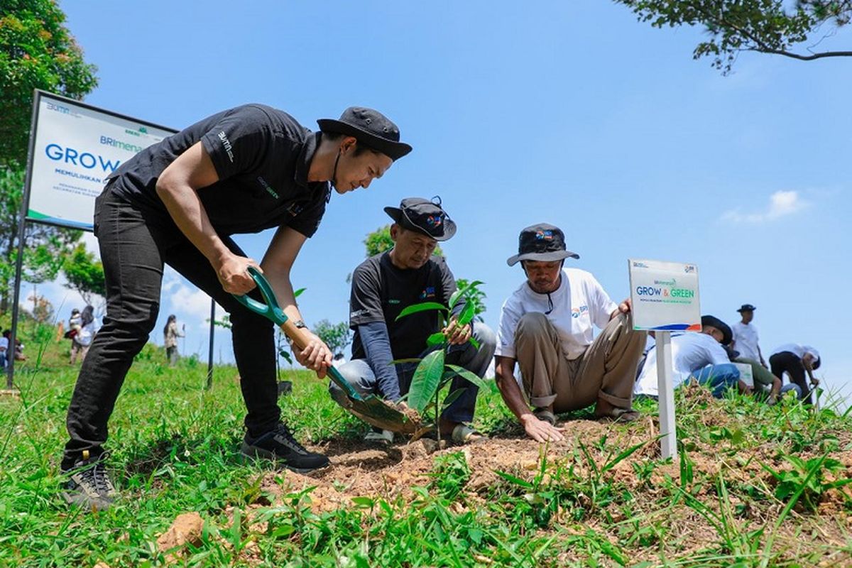 Kelompok Tani Hutan Pabangbon di Bogor berkolaborasi dengan BRI Peduli memulihkan hutan bekas tambang sekaligus mengembangkan ekonomi masyarakat. 