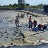 KKP Rekrut Ribuan Tenaga Kerja untuk Tambak Udang Raksasa di Waingapu