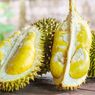 Ilmuwan Singapura Ubah Kulit Durian Jadi Perban Anti-bakteri