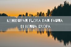 Kehidupan Flora dan Fauna di Benua Eropa