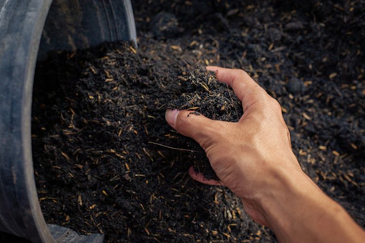 Ilustrasi biochar dari arang sekam